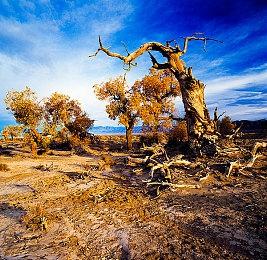 《半条命：Alyx》“生化奇兵”Mod演示 游戏性超强