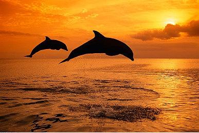 时隔三个月！《宣誓》公布2025完整更新路线图